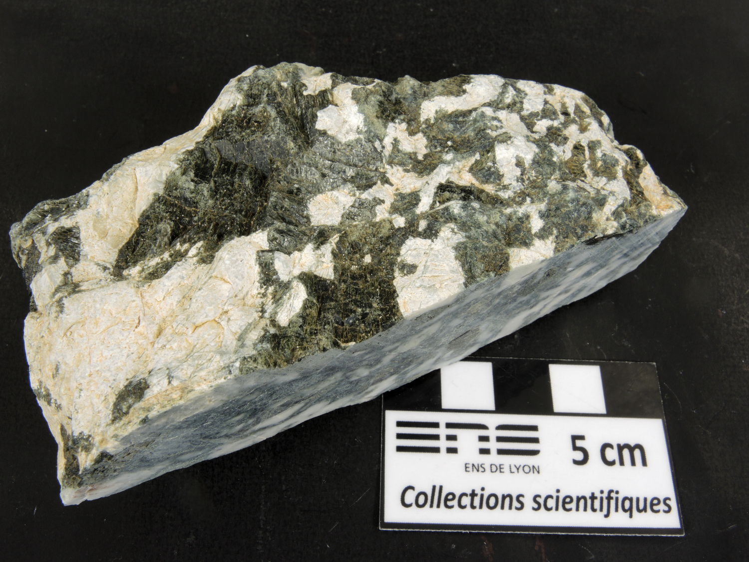 Méta-gabbro Gabbro euphotide de Chamrousse Alpes Ophiolite de Chamrousse Chamrousse 